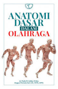 Anatomi Dasar Dalam Olahraga